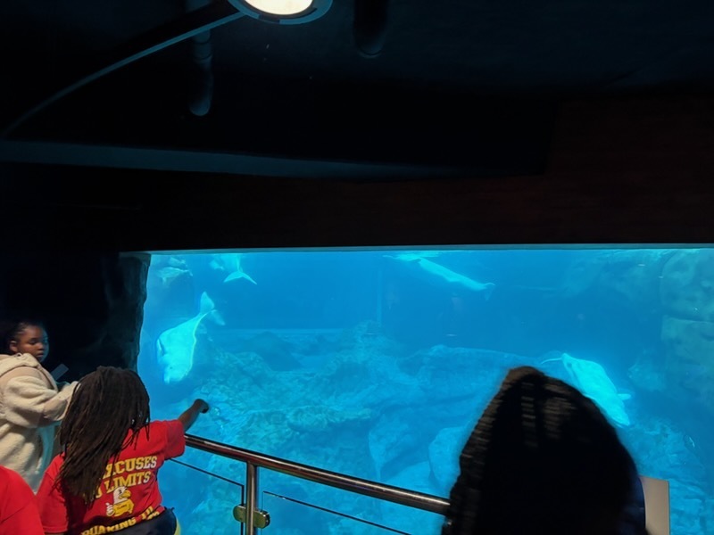 educational experience