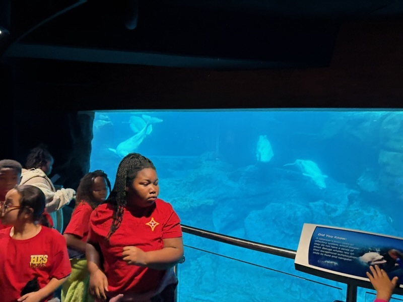 educational experience