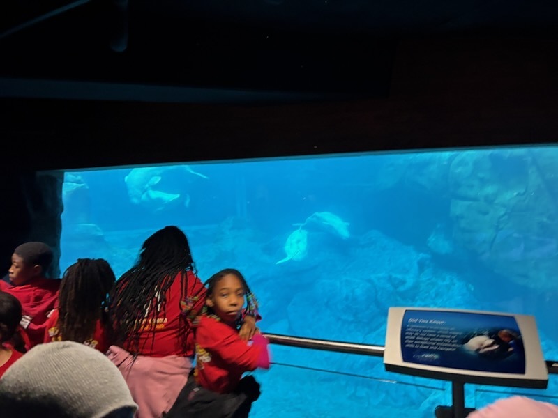 educational experience