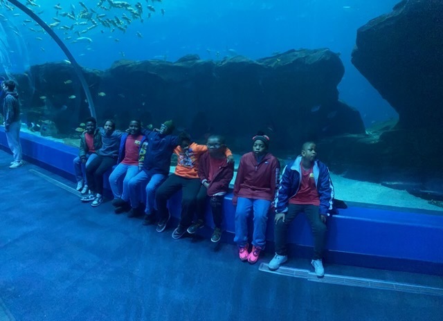 educational experience