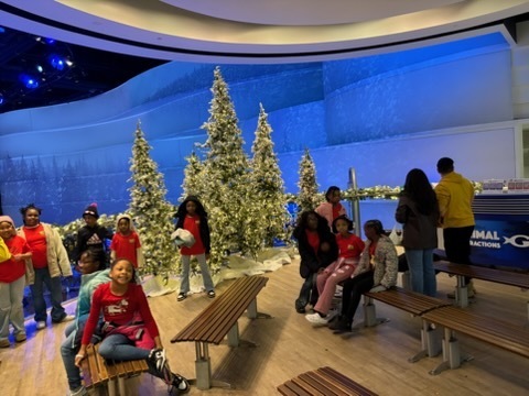 educational experience