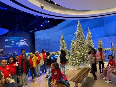 educational experience