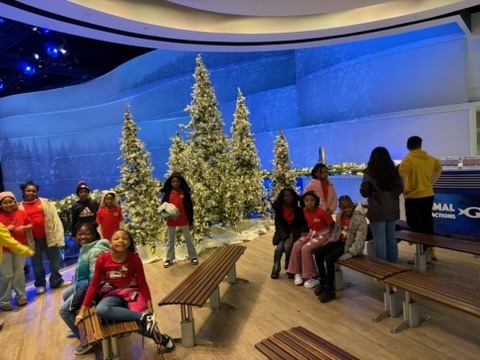 educational experience