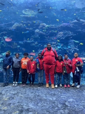 educational experience