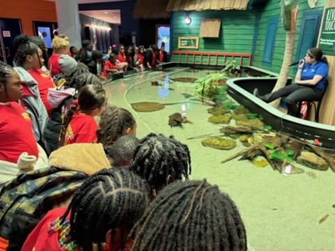 educational experience