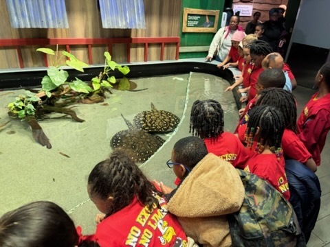 educational experience