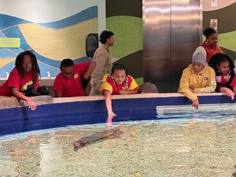 educational experience