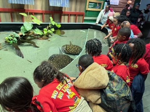 educational experience