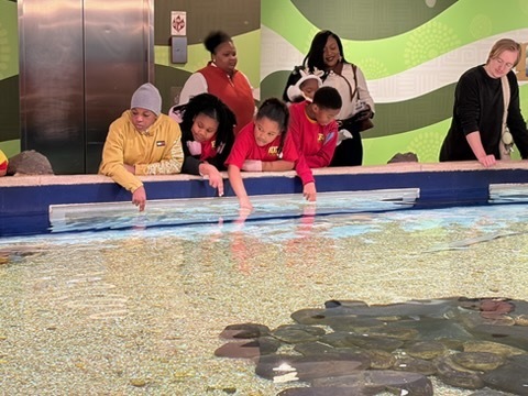 educational experience