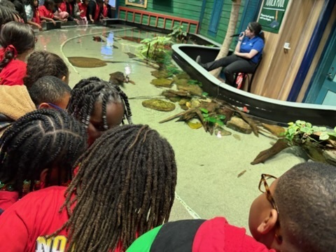 educational experience