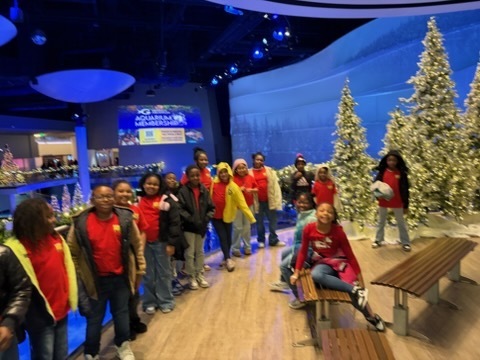 educational experience