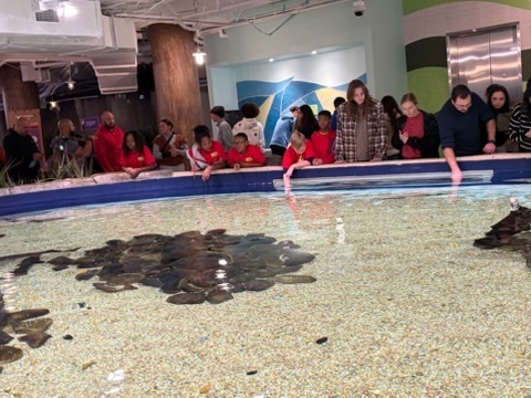 educational experience