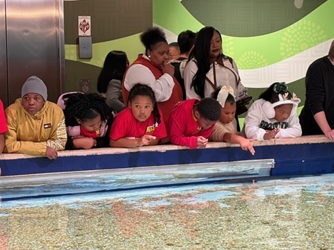 educational experience