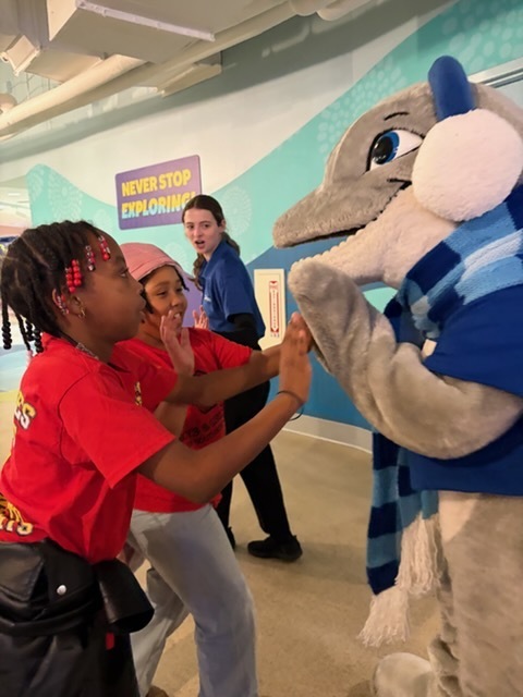 educational experience