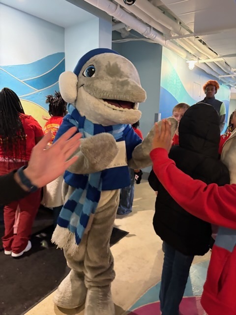 educational experience