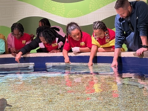 educational experience