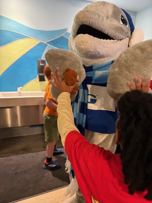 educational experience