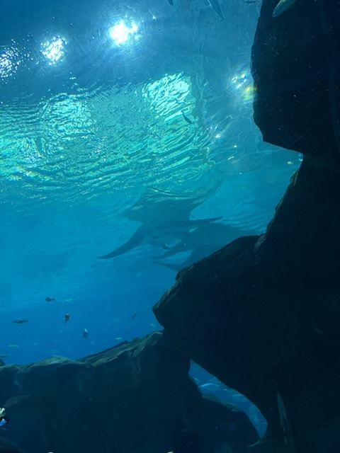 educational experience