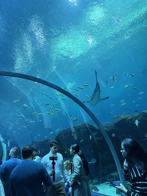 educational experience