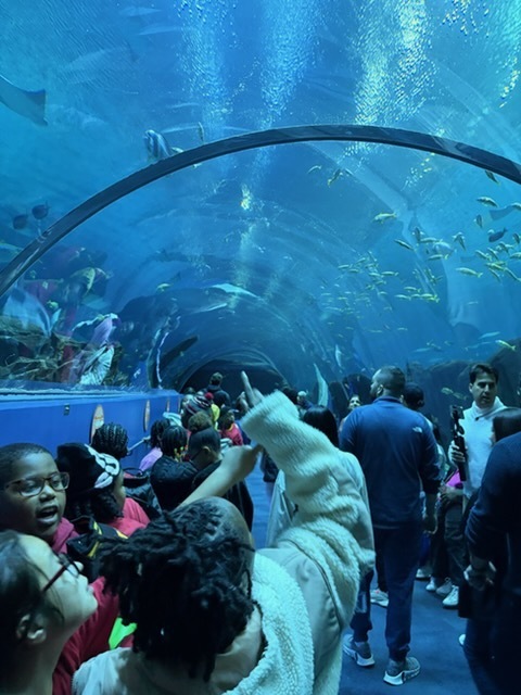 educational experience