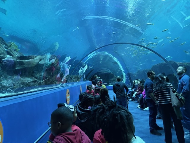 educational experience