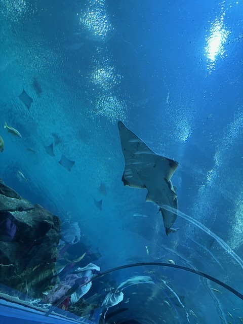 educational experience