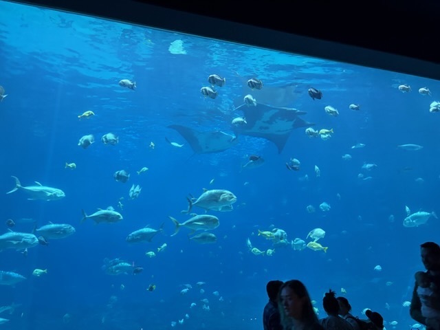 educational experience