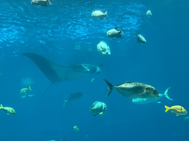 educational experience