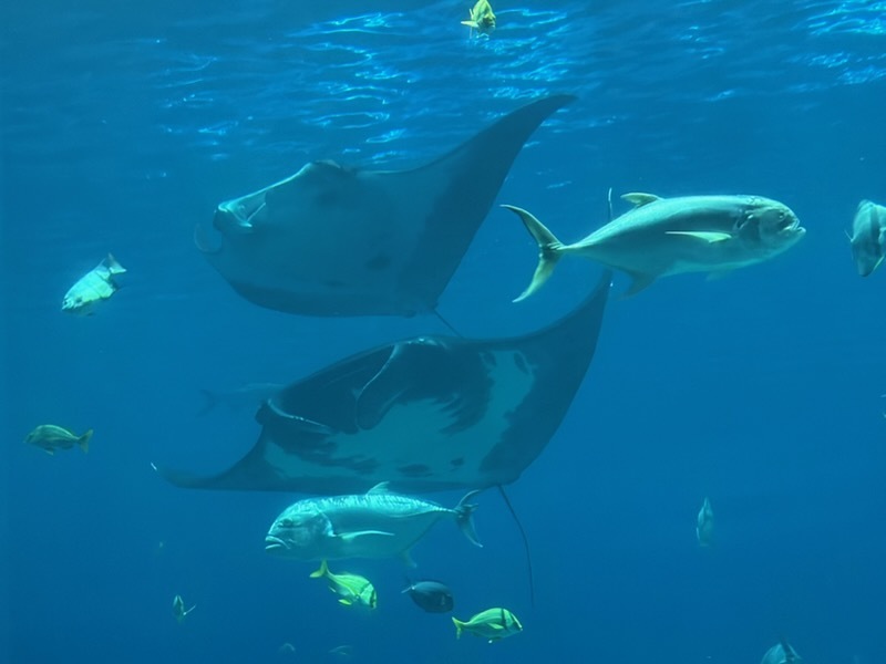 educational experience