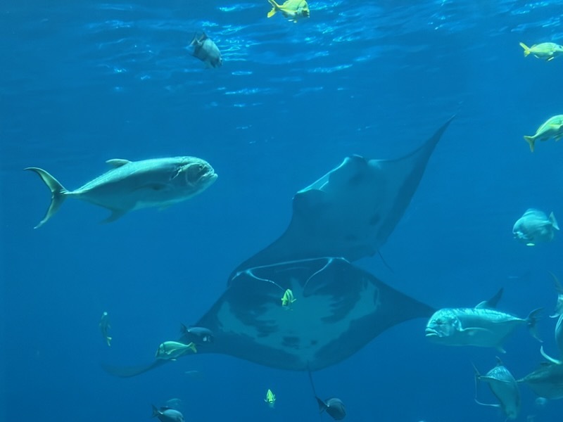 educational experience