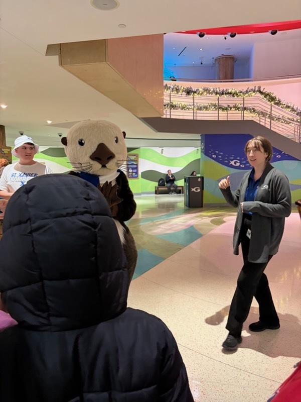 educational experience