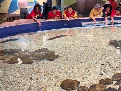 HES Georgia Aquarium Trip 7