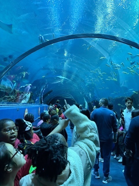 HES Georgia Aquarium Trip 2