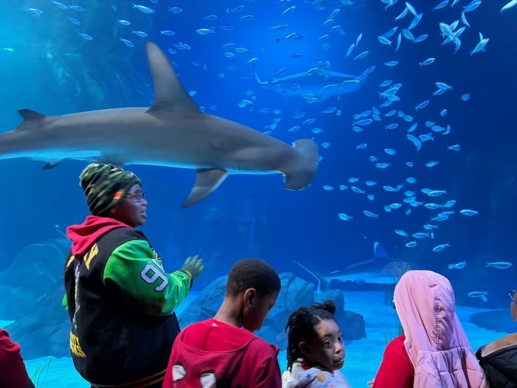 HES Georgia Aquarium Trip 3