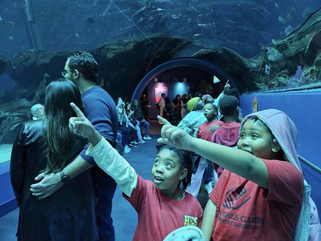 HES Georgia Aquarium Trip 1