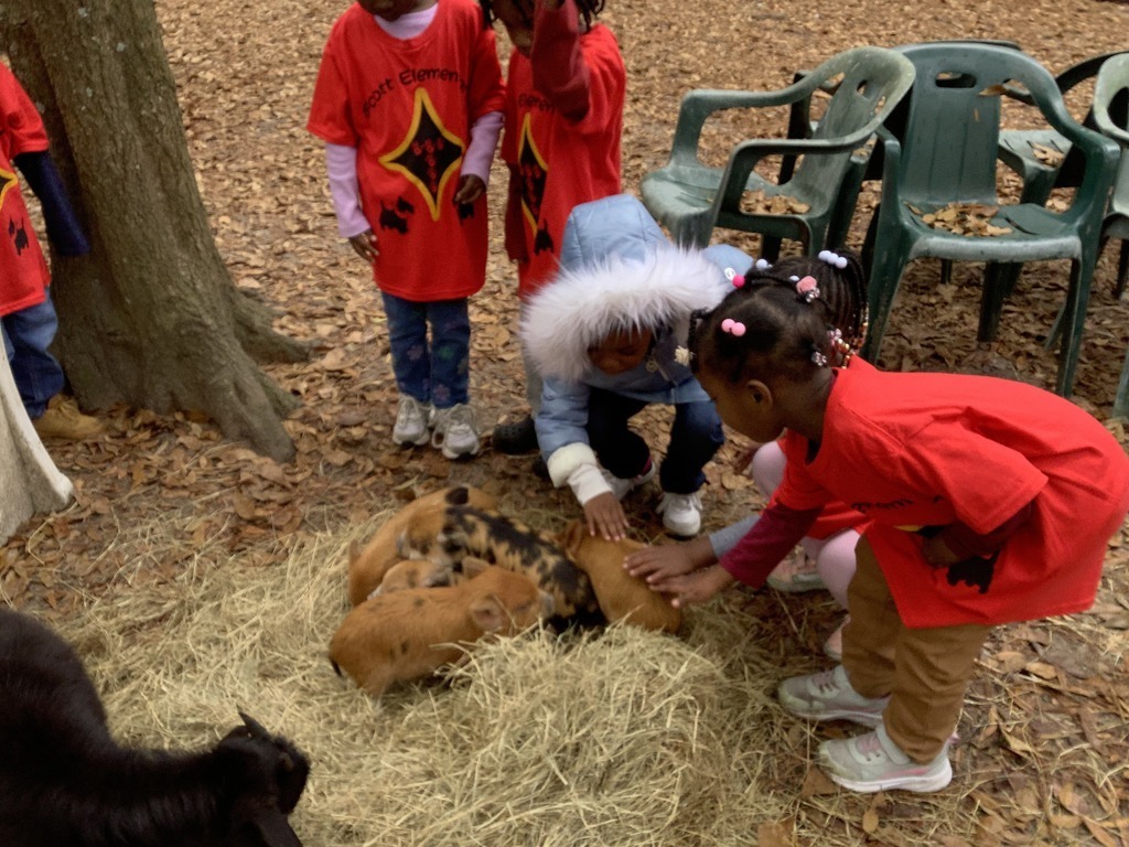 SES Prek Field Trip to Redemptive Love Farm 6