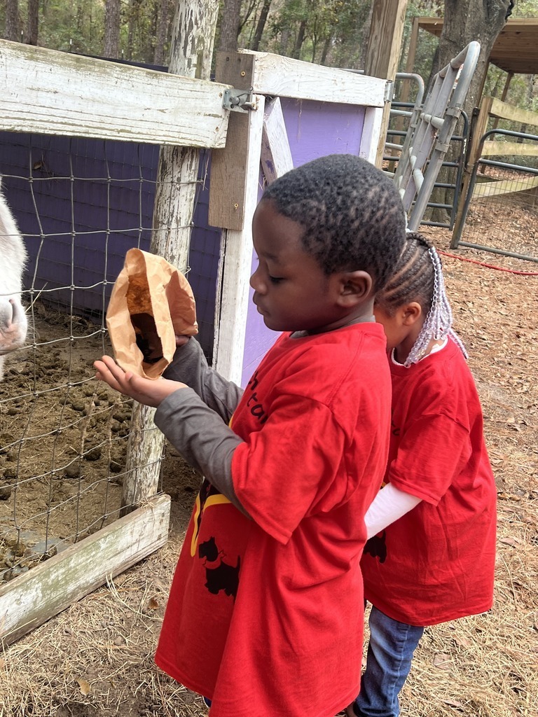 SES Prek Field Trip to Redemptive Love Farm 8