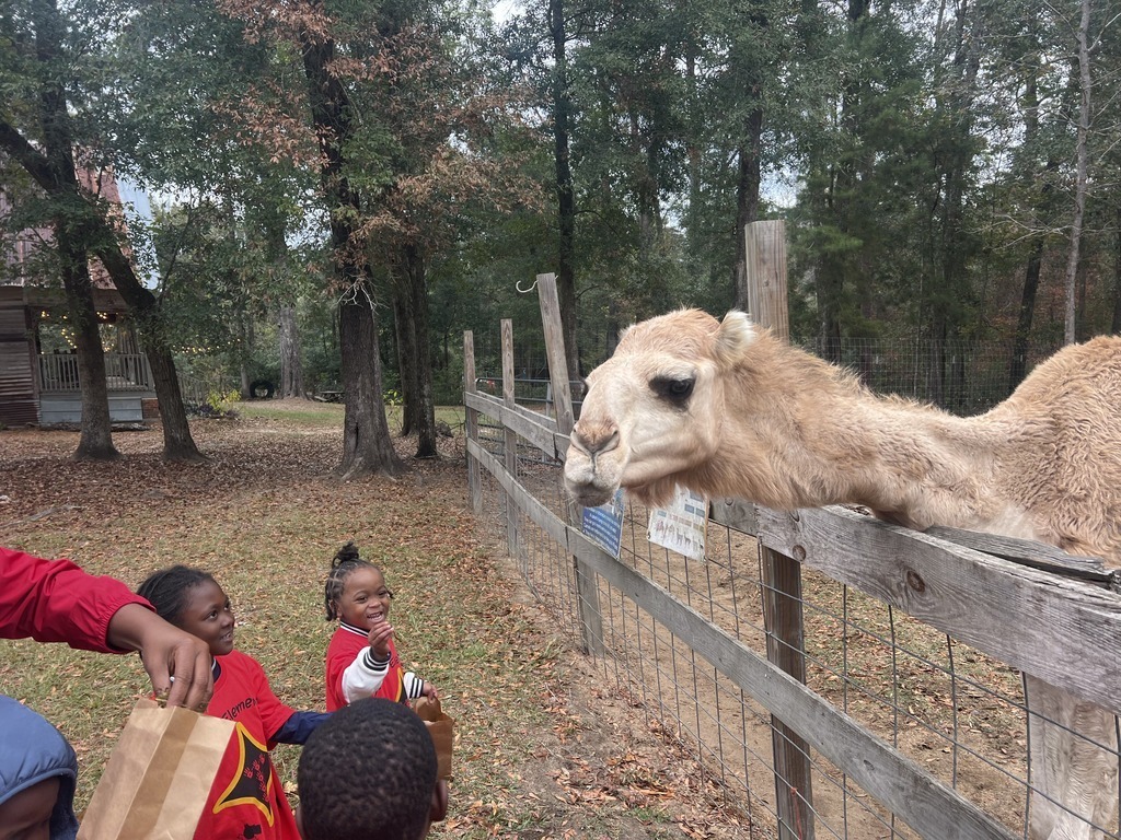 SES Prek Field Trip to Redemptive Love Farm 3