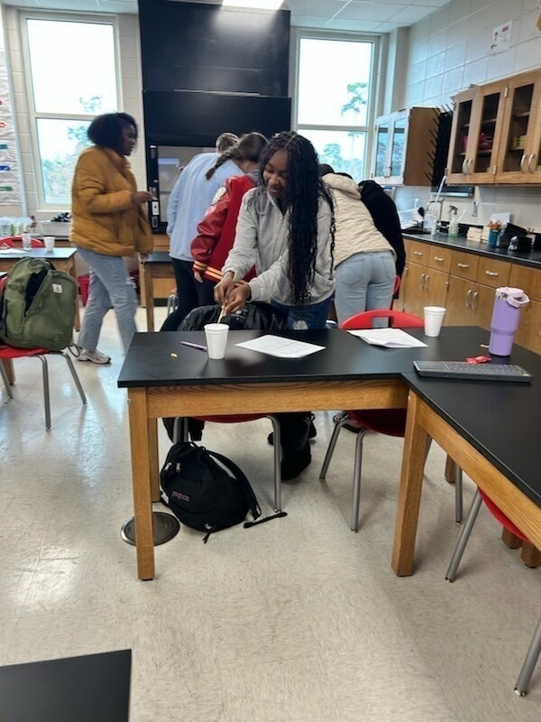 THS/SA Russo Biology Class Beaks 3