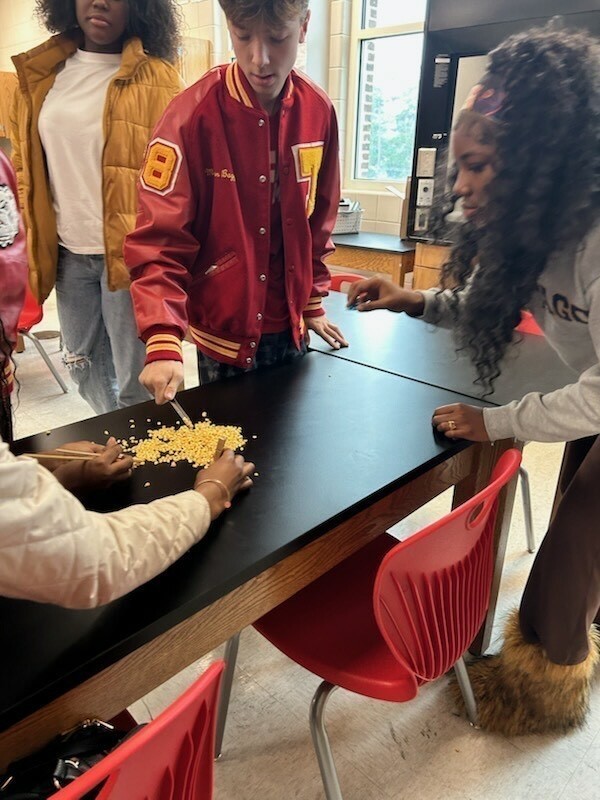 THS/SA Russo Biology Class Beaks 1