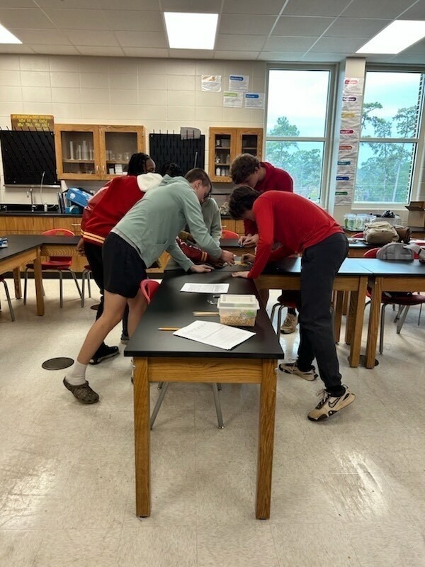 THS/SA Russo Biology Class Beaks 2