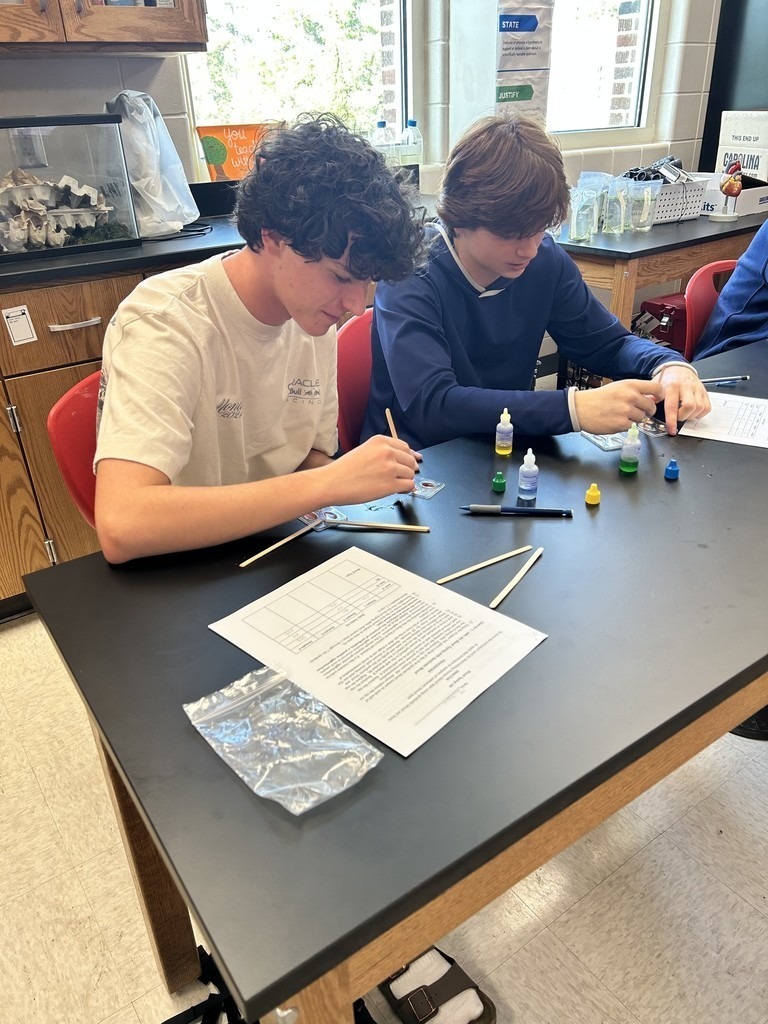 THS  Russo A&P BioMed Blood Type Test 1