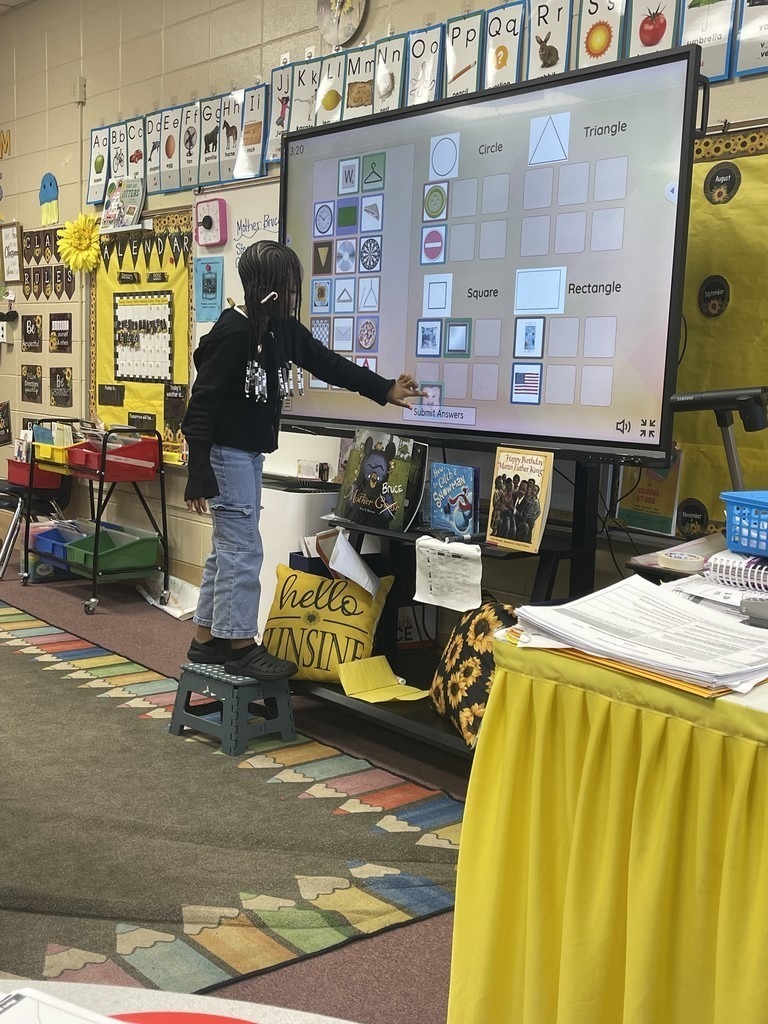 HES Ryles Math Shapes 2D 8