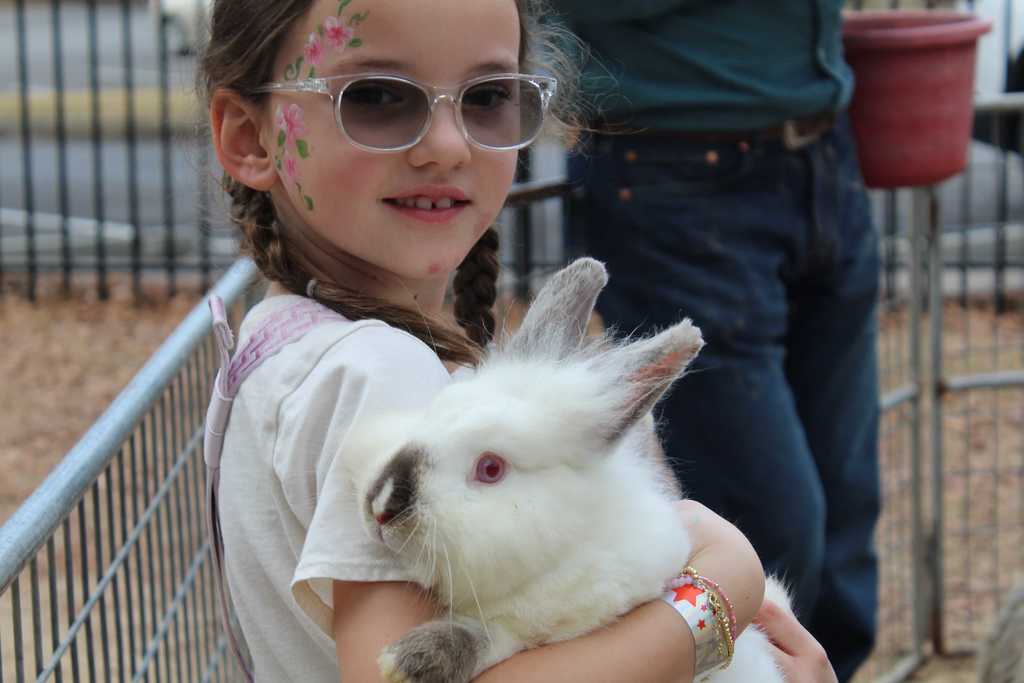 JES Winter Festival Jan 24 2026 1