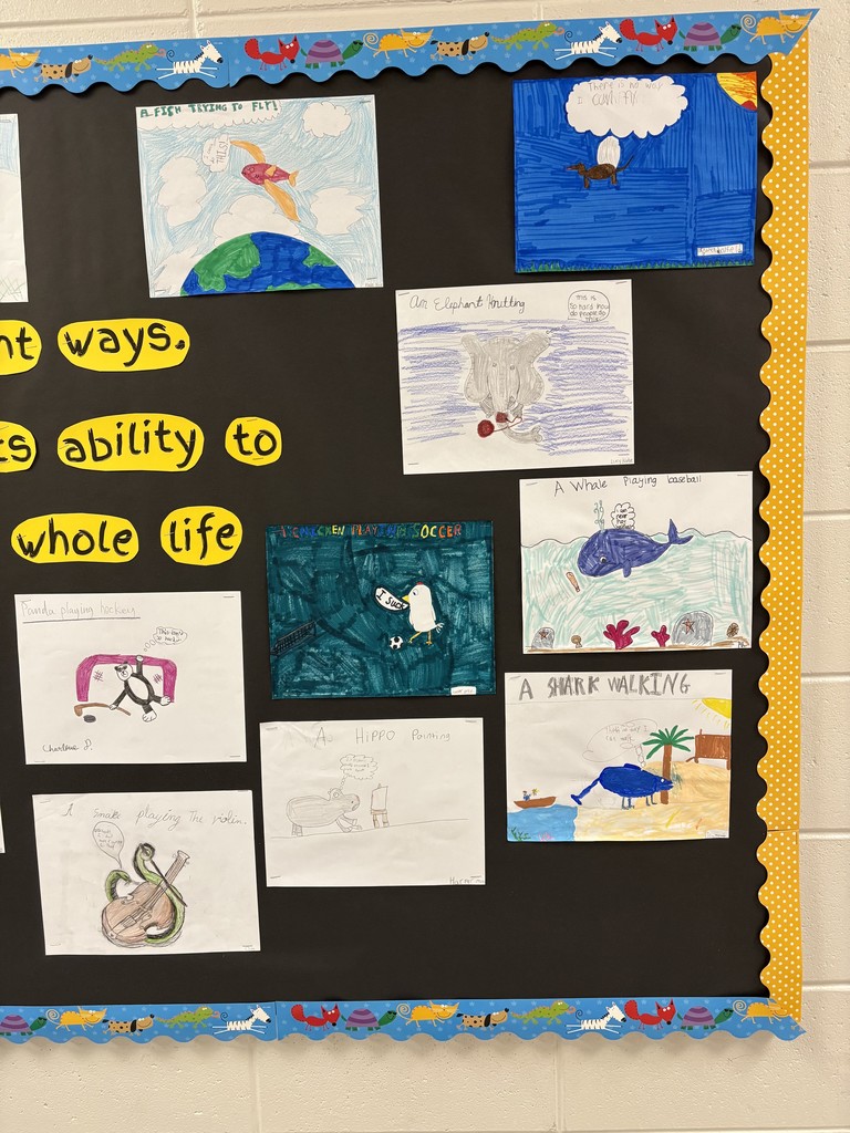 5th Grade Novel Study