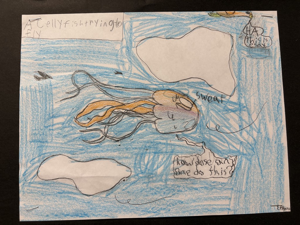 5th Grade Novel Study