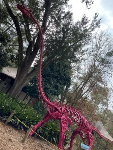 educational experience