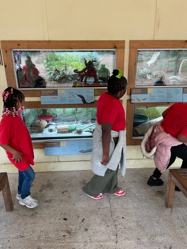 educational experience