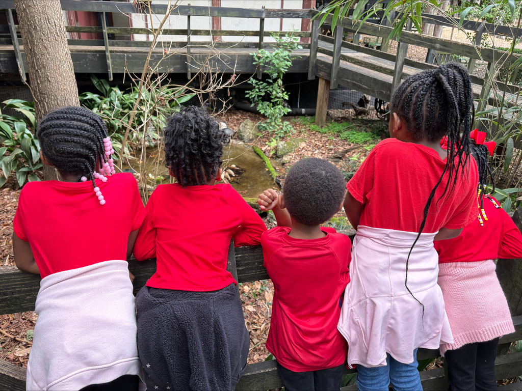 educational experience