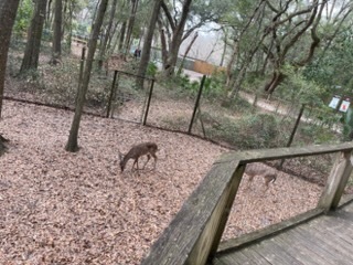 educational experience